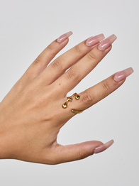 Terra Ring
