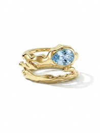 Gen 5 Teardrop Tech Ring Cover