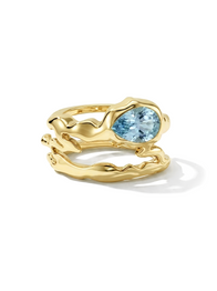 Gen 5 Blue Teardrop GV Tech Ring Cover