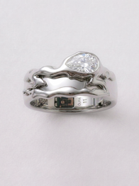 Gen 5 Teardrop Tech Ring Cover